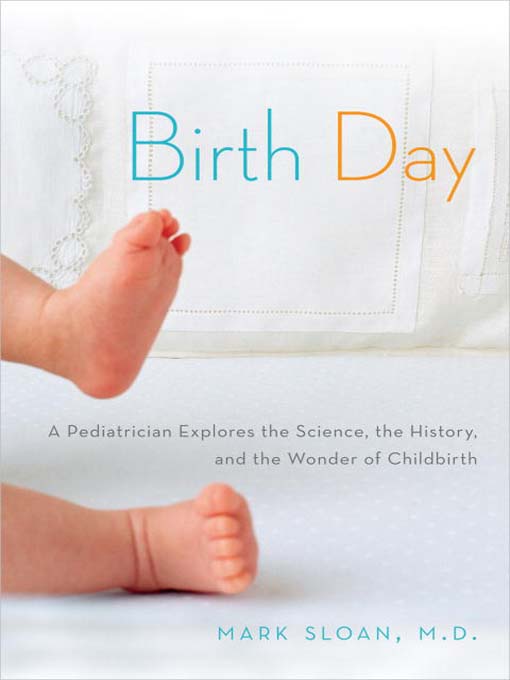 Cover image for Birth Day